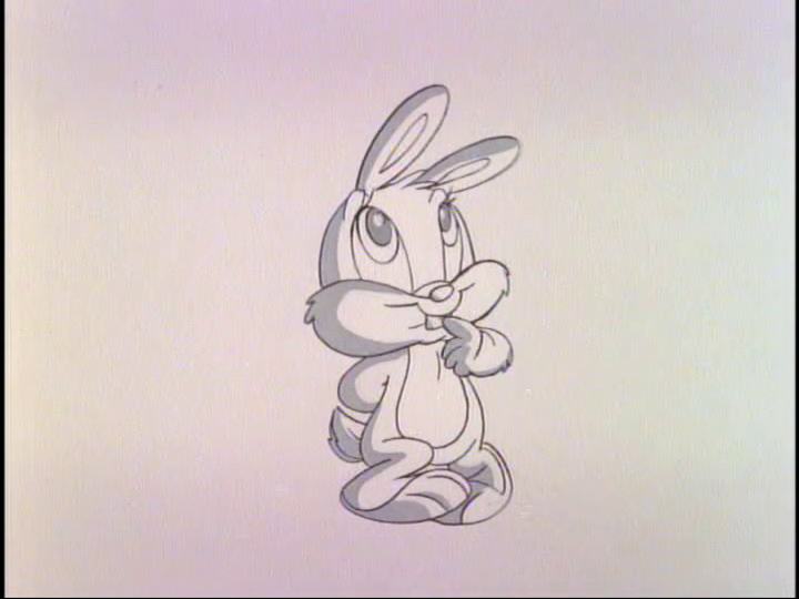 Baby Bunny